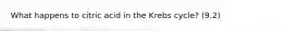 What happens to citric acid in the Krebs cycle? (9.2)
