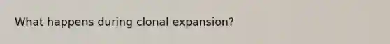 What happens during clonal expansion?