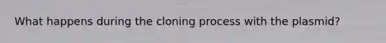 What happens during the cloning process with the plasmid?