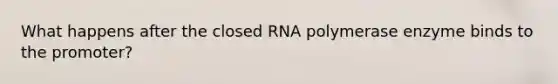 What happens after the closed RNA polymerase enzyme binds to the promoter?