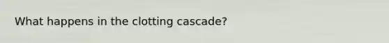 What happens in the clotting cascade?