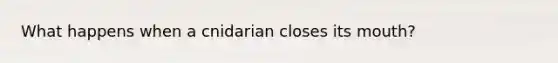 What happens when a cnidarian closes its mouth?