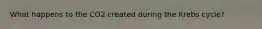 What happens to the CO2 created during the Krebs cycle?