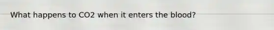 What happens to CO2 when it enters the blood?