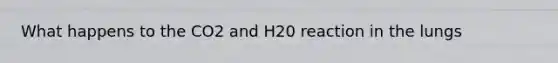 What happens to the CO2 and H20 reaction in the lungs