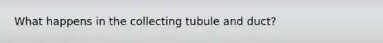 What happens in the collecting tubule and duct?