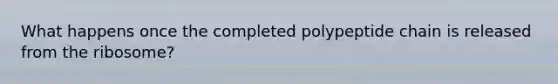 What happens once the completed polypeptide chain is released from the ribosome?