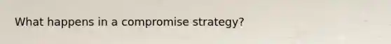 What happens in a compromise strategy?