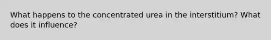 What happens to the concentrated urea in the interstitium? What does it influence?