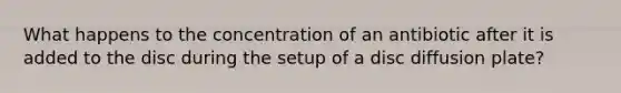 What happens to the concentration of an antibiotic after it is added to the disc during the setup of a disc diffusion plate?