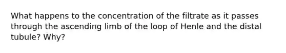 What happens to the concentration of the filtrate as it passes through the ascending limb of the loop of Henle and the distal tubule? Why?