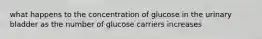 what happens to the concentration of glucose in the urinary bladder as the number of glucose carriers increases