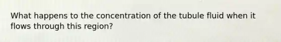 What happens to the concentration of the tubule fluid when it flows through this region?