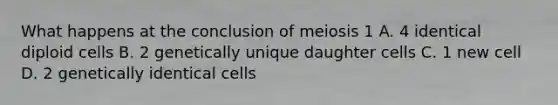 What happens at the conclusion of meiosis 1 A. 4 identical diploid cells B. 2 genetically unique daughter cells C. 1 new cell D. 2 genetically identical cells