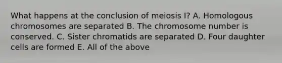 What happens at the conclusion of meiosis I? A. Homologous chromosomes are separated B. The chromosome number is conserved. C. Sister chromatids are separated D. Four daughter cells are formed E. All of the above