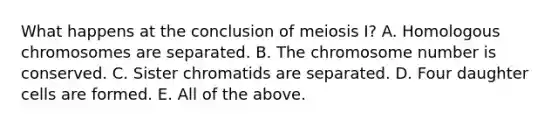 What happens at the conclusion of meiosis I? A. Homologous chromosomes are separated. B. The chromosome number is conserved. C. Sister chromatids are separated. D. Four daughter cells are formed. E. All of the above.