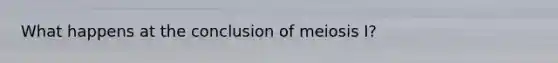 What happens at the conclusion of meiosis I?