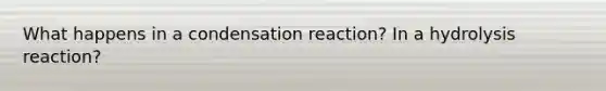 What happens in a condensation reaction? In a hydrolysis reaction?