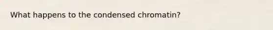 What happens to the condensed chromatin?