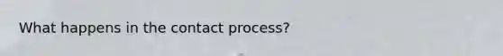 What happens in the contact process?