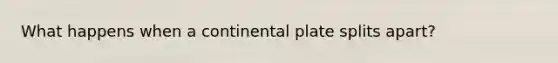 What happens when a continental plate splits apart?