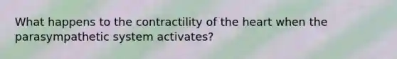 What happens to the contractility of the heart when the parasympathetic system activates?