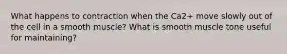 What happens to contraction when the Ca2+ move slowly out of the cell in a smooth muscle? What is smooth muscle tone useful for maintaining?