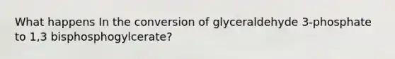 What happens In the conversion of glyceraldehyde 3-phosphate to 1,3 bisphosphogylcerate?