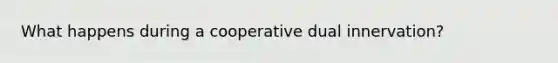 What happens during a cooperative dual innervation?