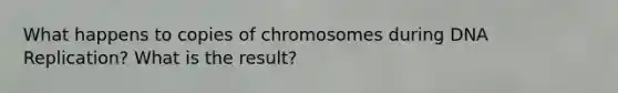 What happens to copies of chromosomes during DNA Replication? What is the result?