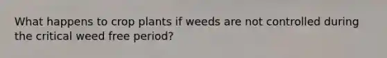 What happens to crop plants if weeds are not controlled during the critical weed free period?