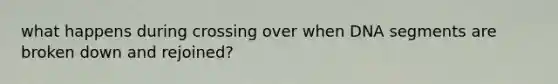 what happens during crossing over when DNA segments are broken down and rejoined?
