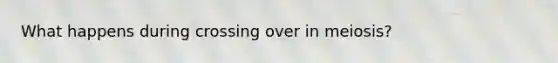 What happens during crossing over in meiosis?