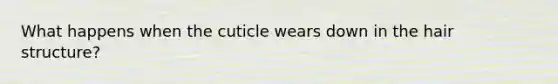What happens when the cuticle wears down in the hair structure?