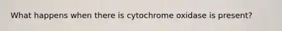 What happens when there is cytochrome oxidase is present?