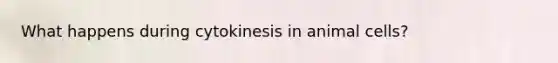 What happens during cytokinesis in animal cells?