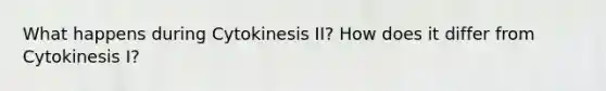 What happens during Cytokinesis II? How does it differ from Cytokinesis I?