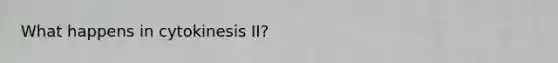 What happens in cytokinesis II?