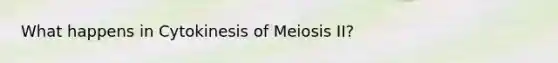 What happens in Cytokinesis of Meiosis II?