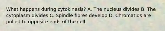 What happens during cytokinesis? A. The nucleus divides B. The cytoplasm divides C. Spindle fibres develop D. Chromatids are pulled to opposite ends of the cell.