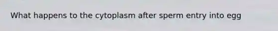 What happens to the cytoplasm after sperm entry into egg