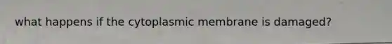 what happens if the cytoplasmic membrane is damaged?