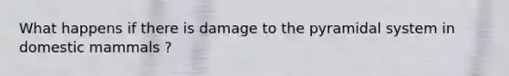 What happens if there is damage to the pyramidal system in domestic mammals ?