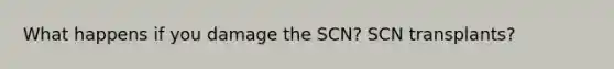 What happens if you damage the SCN? SCN transplants?