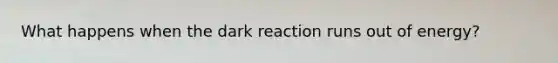 What happens when the dark reaction runs out of energy?