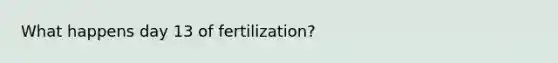 What happens day 13 of fertilization?