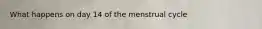 What happens on day 14 of the menstrual cycle