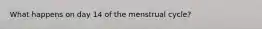 What happens on day 14 of the menstrual cycle?