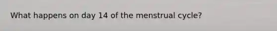 What happens on day 14 of the menstrual cycle?