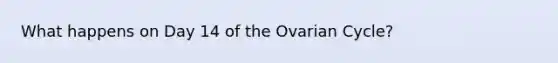 What happens on Day 14 of the Ovarian Cycle?